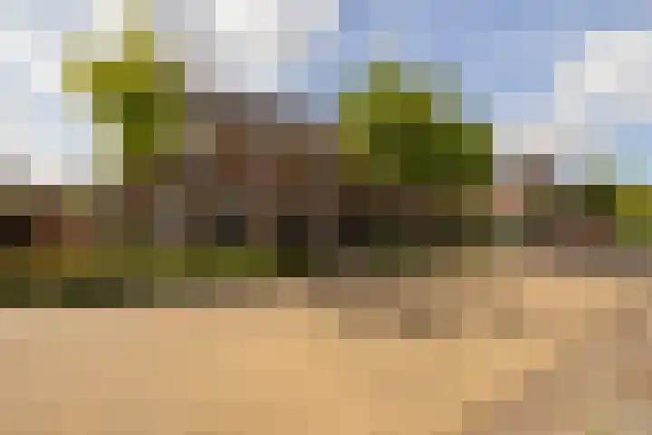Grijze Walvis 6 Naaldwijk thumbnail 36