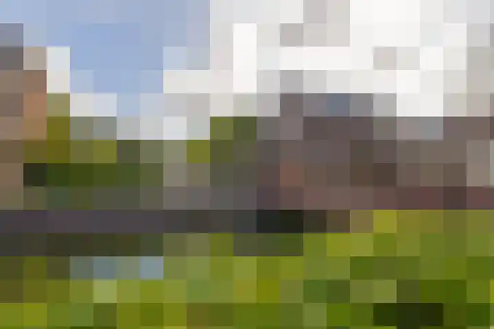 Grijze Walvis 6 Naaldwijk thumbnail 37