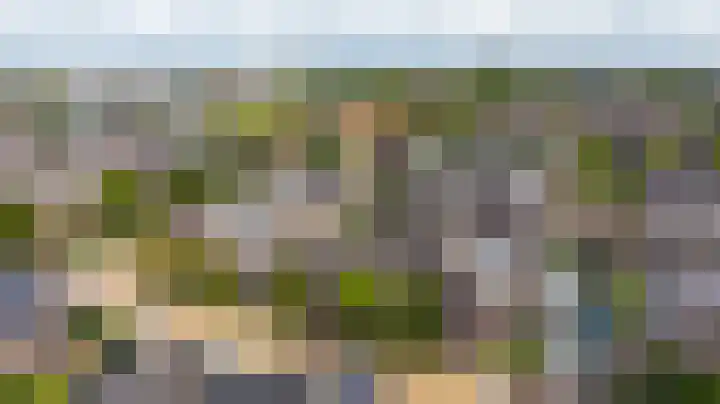 Grijze Walvis 6 Naaldwijk thumbnail 38
