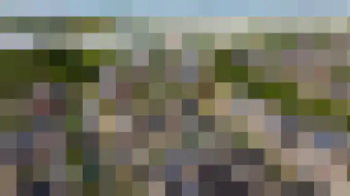 Grijze Walvis 6 Naaldwijk thumbnail 39