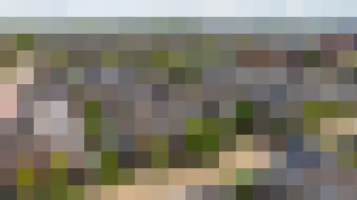 Grijze Walvis 6 Naaldwijk thumbnail 4