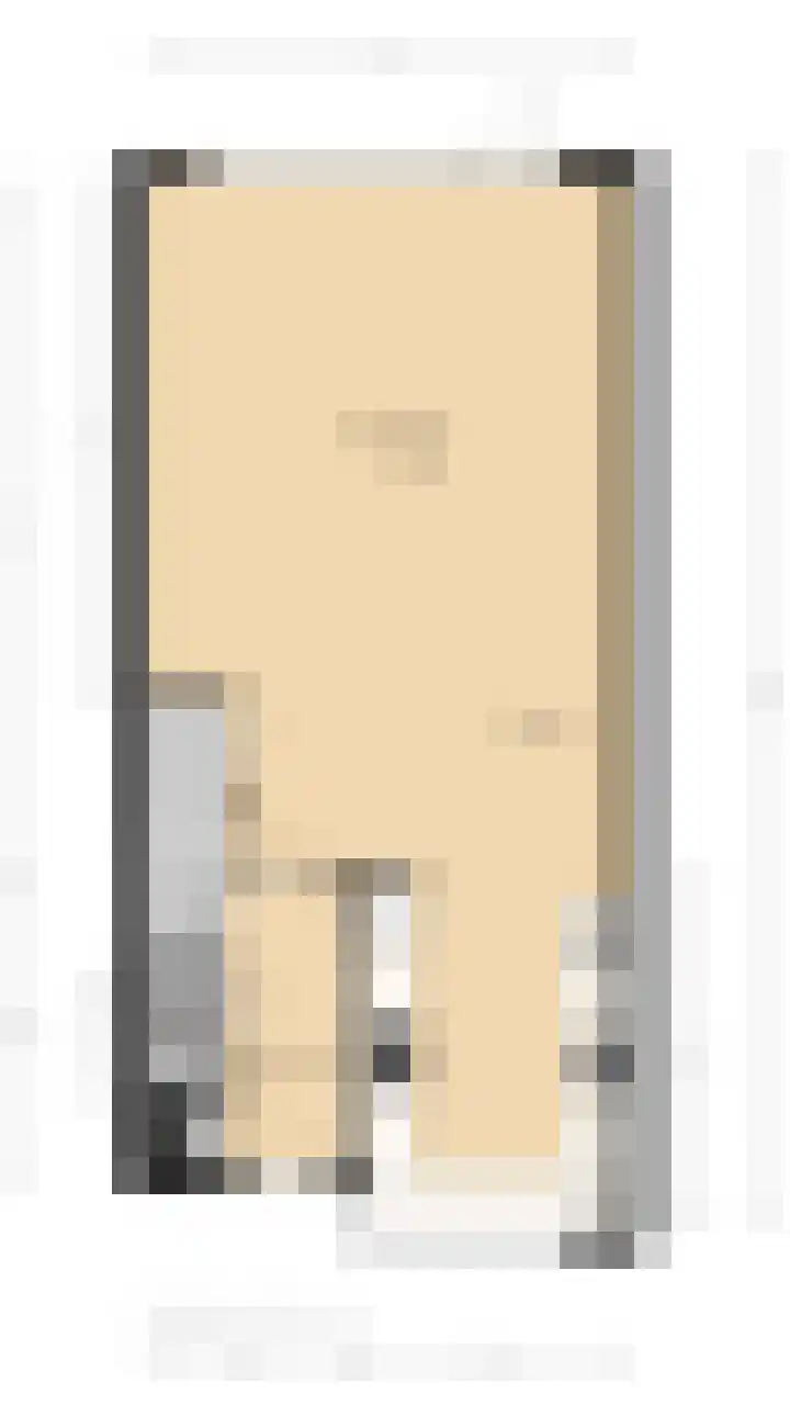 Grijze Walvis 6 Naaldwijk thumbnail 44