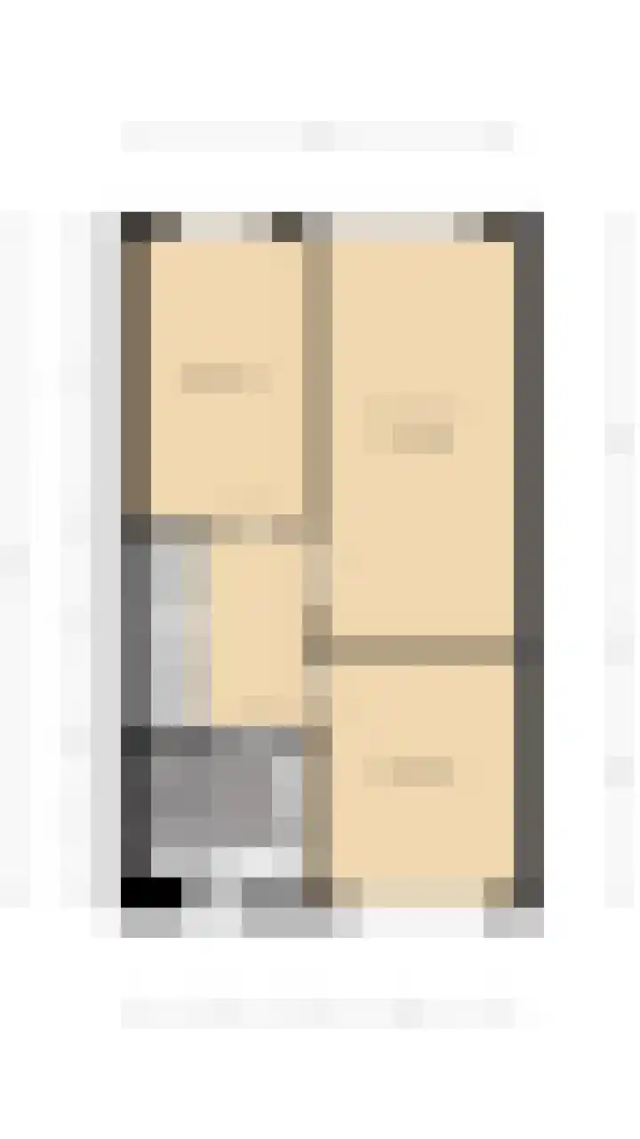 Grijze Walvis 6 Naaldwijk thumbnail 45