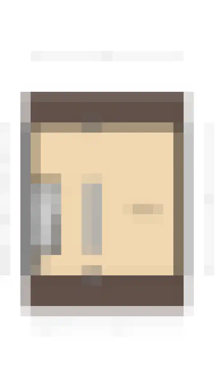 Grijze Walvis 6 Naaldwijk thumbnail 46