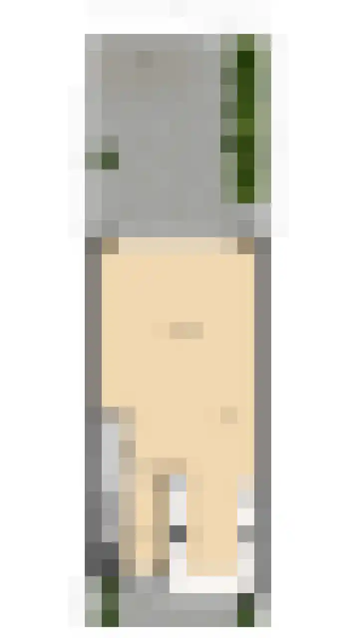 Grijze Walvis 6 Naaldwijk thumbnail 48