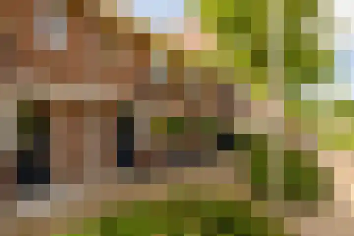 Grijze Walvis 6 Naaldwijk thumbnail 5