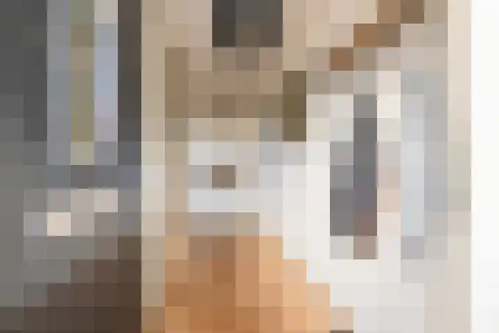 Grijze Walvis 6 Naaldwijk thumbnail 6