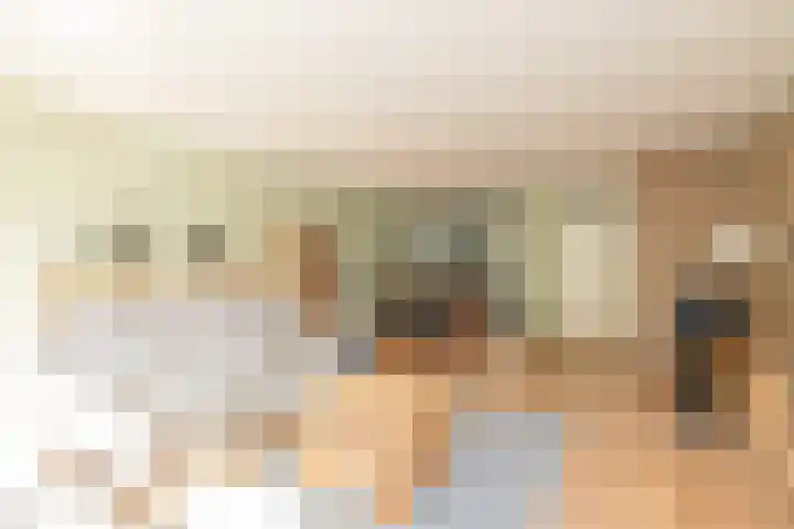 Grijze Walvis 6 Naaldwijk thumbnail 9