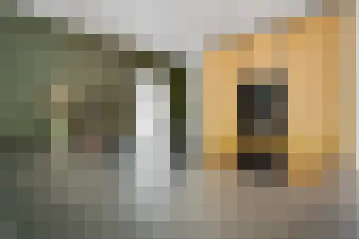 Grijzegrubben 76 Nuth thumbnail 10