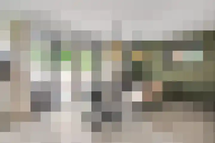 Grijzegrubben 76 Nuth thumbnail 11