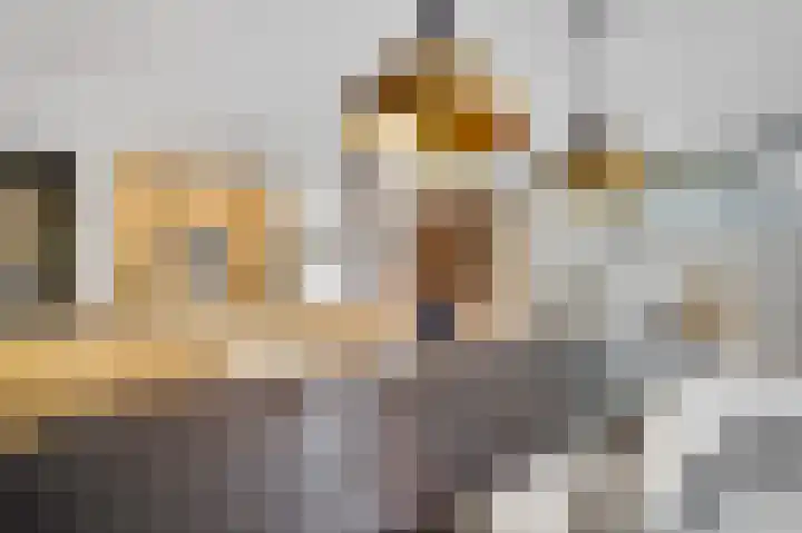 Grijzegrubben 76 Nuth thumbnail 12