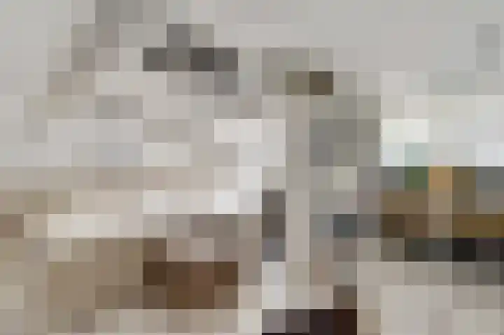 Grijzegrubben 76 Nuth thumbnail 18