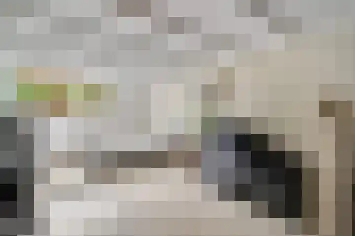 Grijzegrubben 76 Nuth thumbnail 20