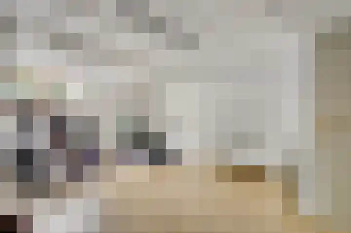 Grijzegrubben 76 Nuth thumbnail 21