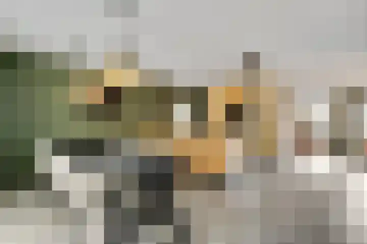 Grijzegrubben 76 Nuth foto 3