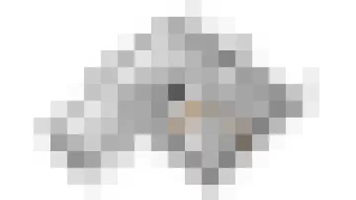 Grijzegrubben 76 Nuth thumbnail 31
