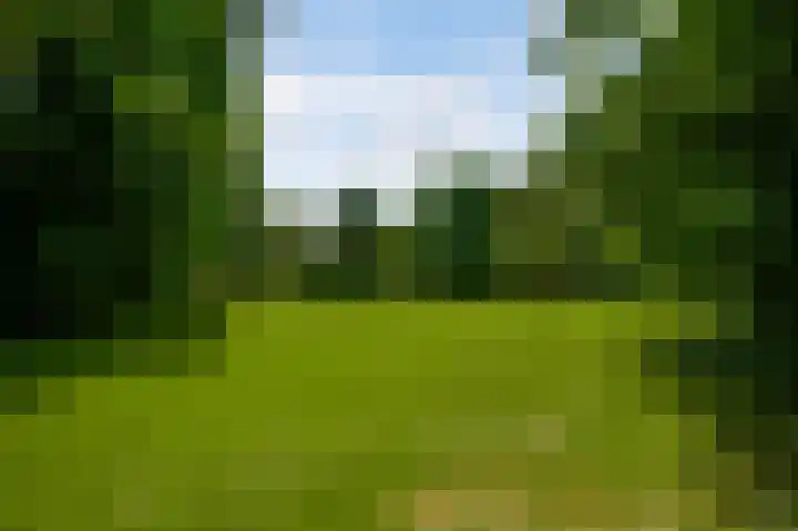 Grijzegrubben 76 Nuth thumbnail 4