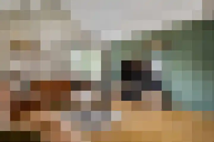 Grijzegrubben 76 Nuth thumbnail 6