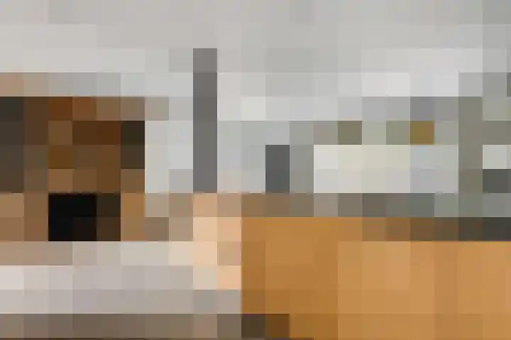 Grijzegrubben 76 Nuth thumbnail 9