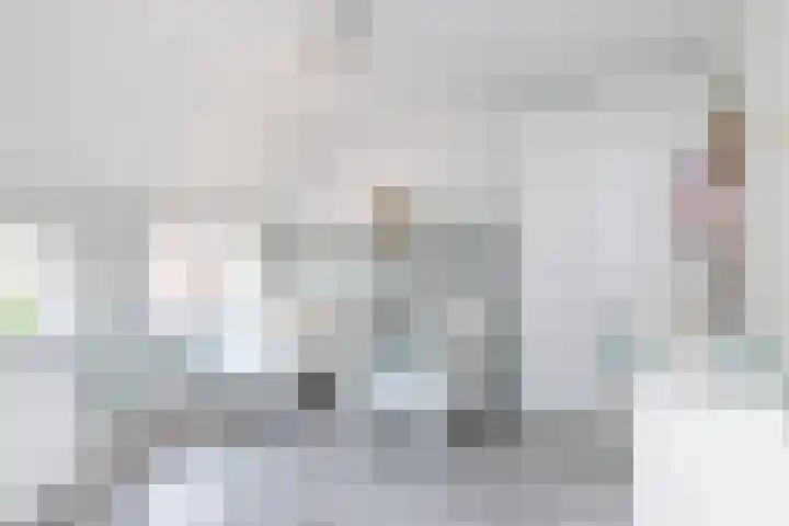 Grijzegrubben 86 Nuth thumbnail 17