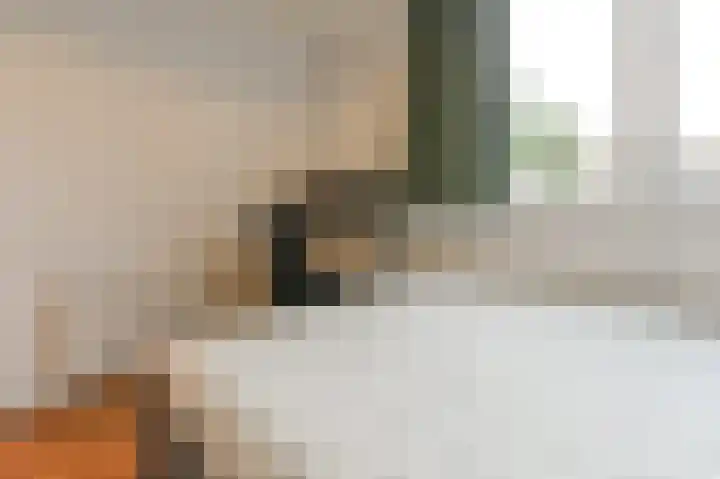 Grijzegrubben 86 Nuth foto 2