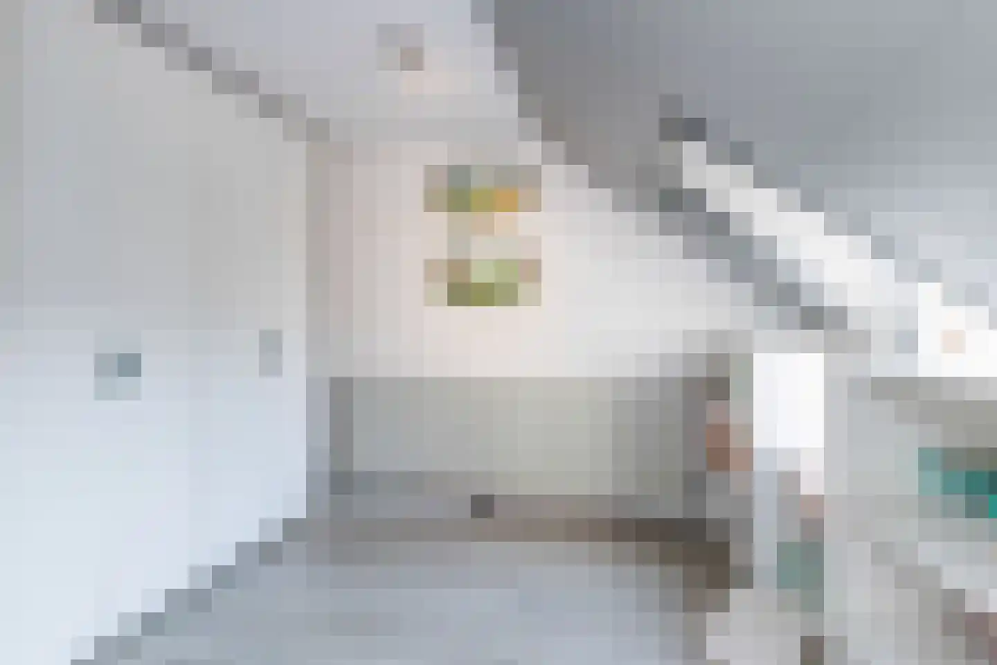 Grijzegrubben 86 Nuth thumbnail 22