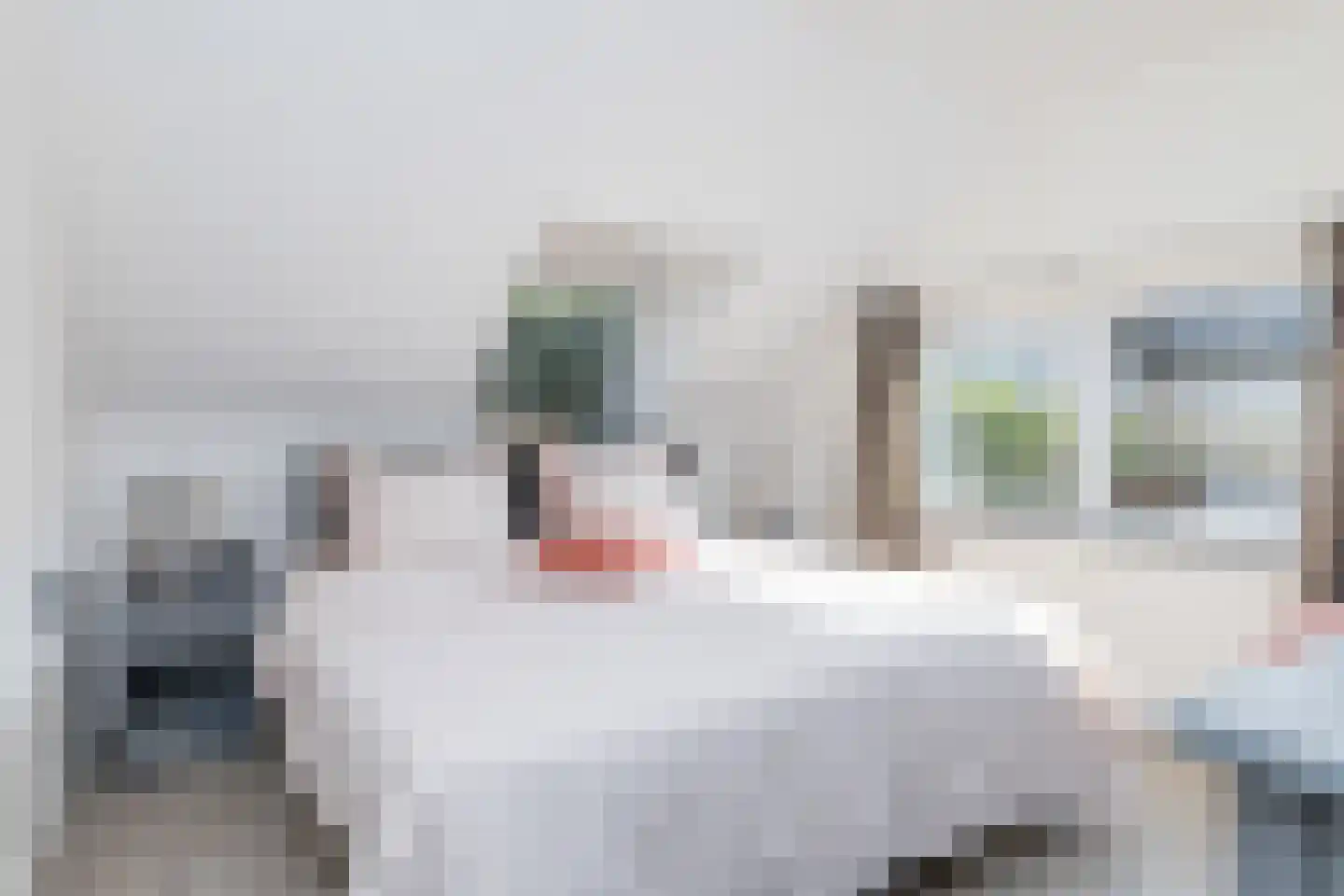 Grijzegrubben 86 Nuth thumbnail 27