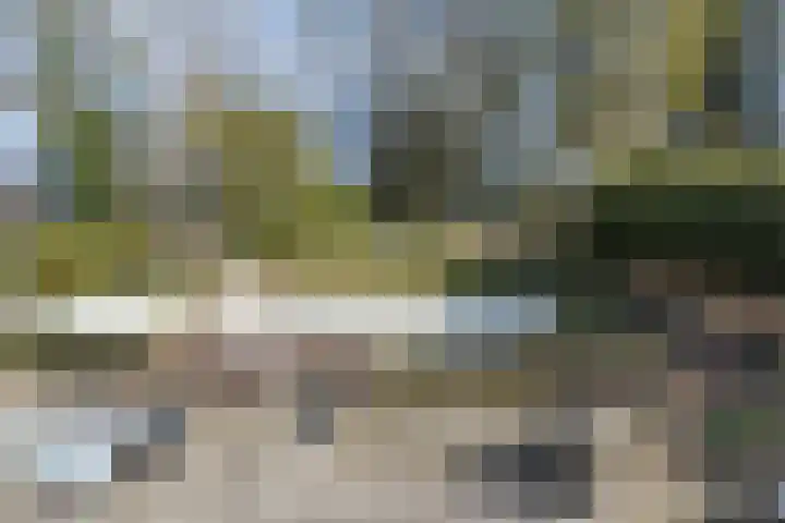 Grijzegrubben 86 Nuth thumbnail 28