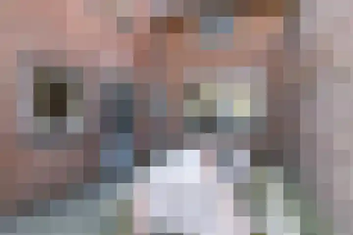 Grijzegrubben 86 Nuth thumbnail 30