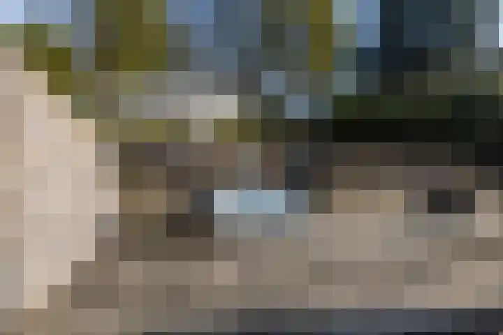 Grijzegrubben 86 Nuth thumbnail 32