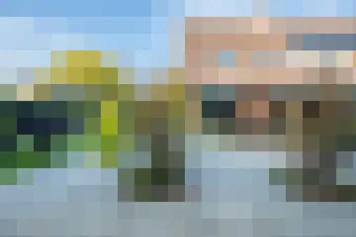 Grijzegrubben 86 Nuth thumbnail 38