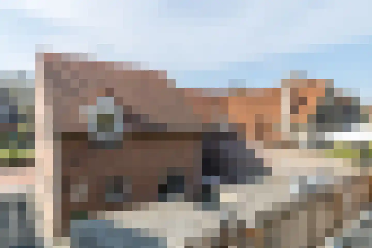 Grijzegrubben 86 Nuth thumbnail 38