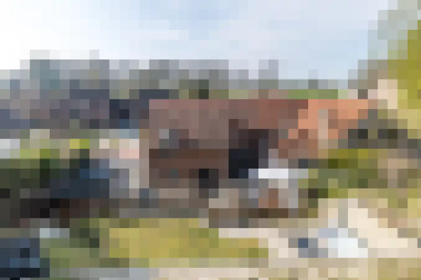 Grijzegrubben 86 Nuth thumbnail 40