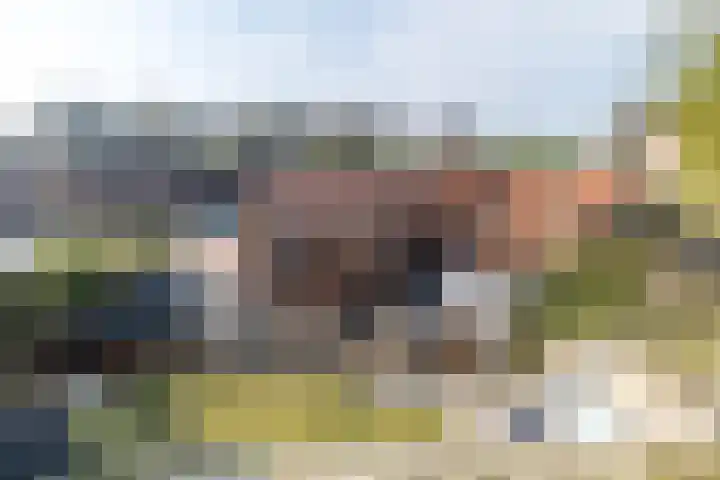 Grijzegrubben 86 Nuth thumbnail 40