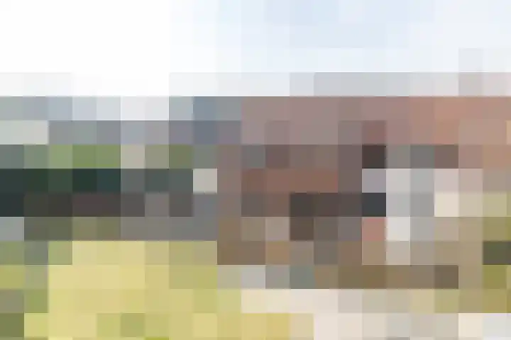 Grijzegrubben 86 Nuth thumbnail 41