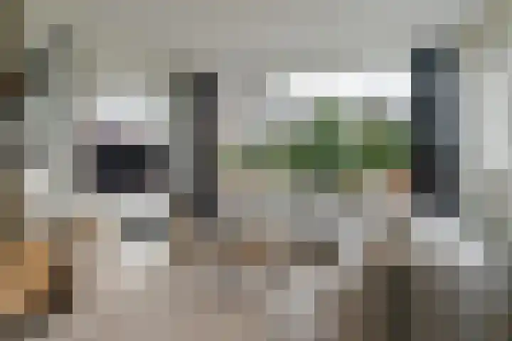 Grimbeert 8 Kollum thumbnail 10