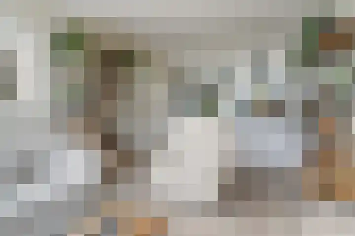 Grimbeert 8 Kollum thumbnail 11