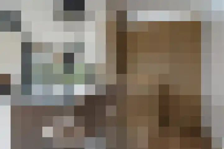 Grimbeert 8 Kollum thumbnail 16