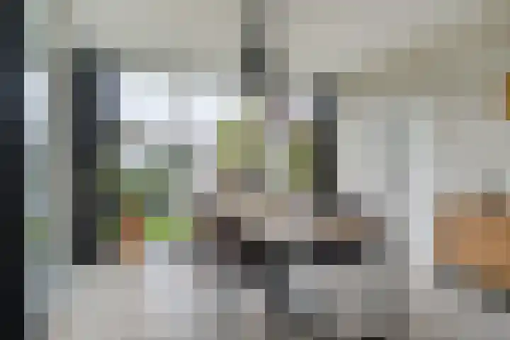 Grimbeert 8 Kollum thumbnail 17