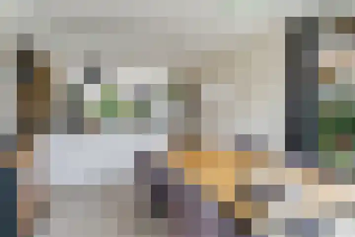 Grimbeert 8 Kollum thumbnail 19
