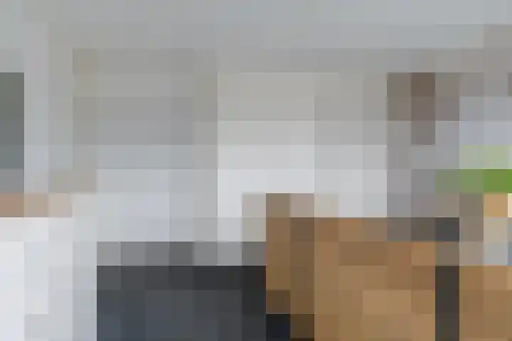 Grimbeert 8 Kollum thumbnail 25