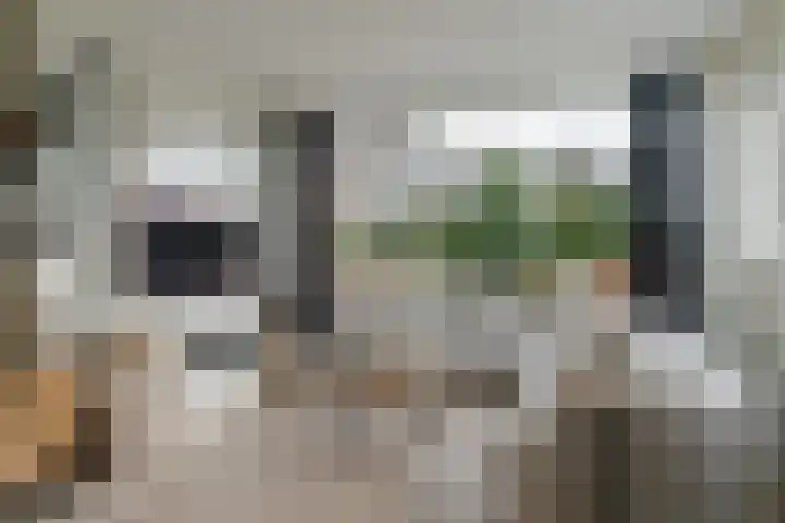 Grimbeert 8 Kollum foto 3