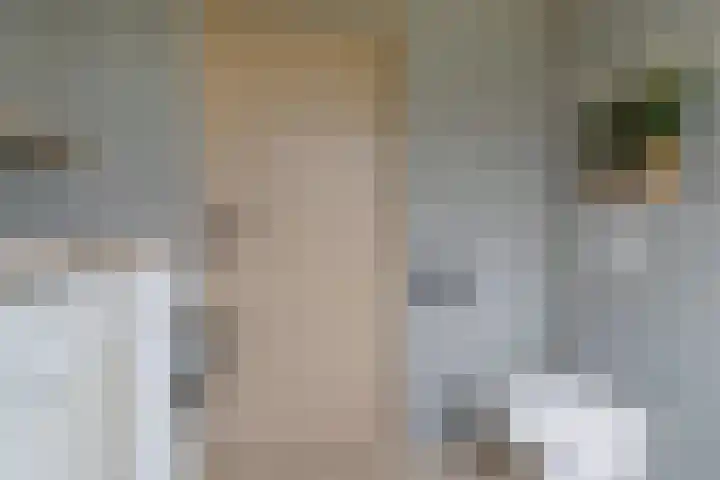 Grimbeert 8 Kollum thumbnail 30