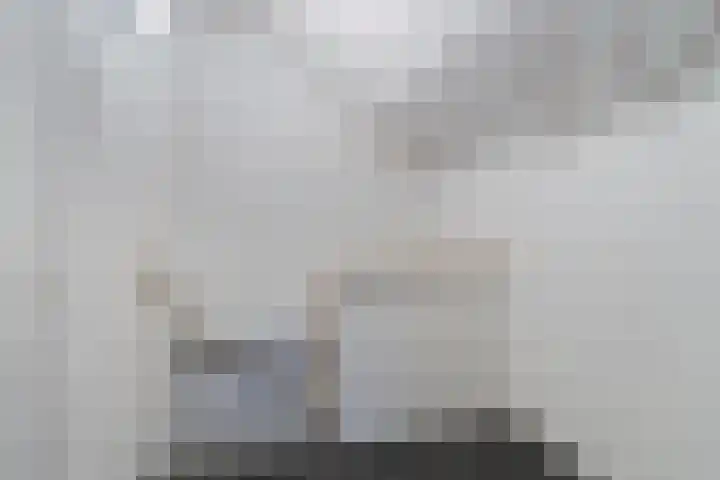Grimbeert 8 Kollum thumbnail 34