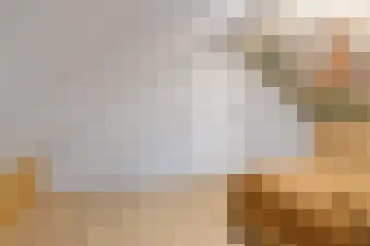 Grimbeert 8 Kollum thumbnail 36