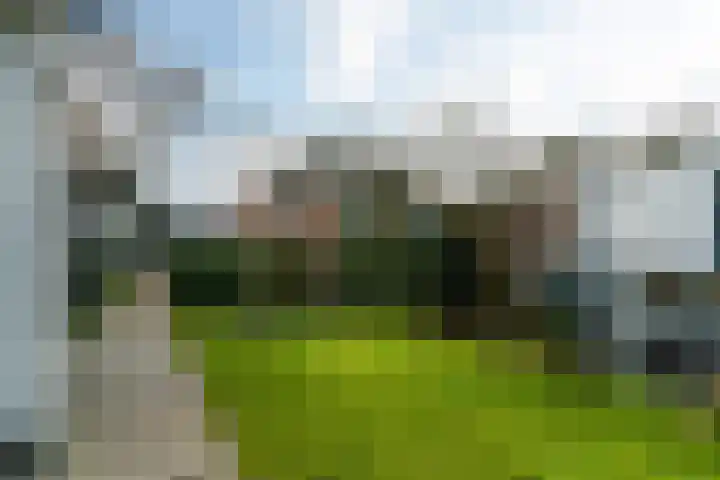 Grimbeert 8 Kollum thumbnail 37