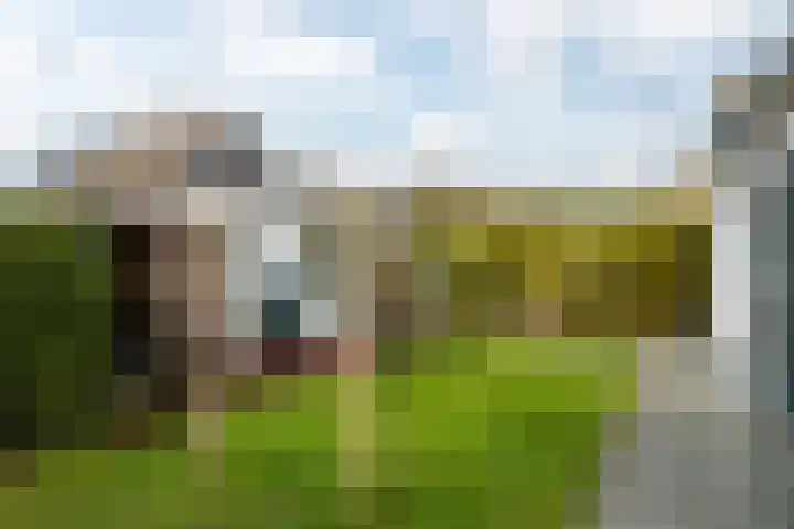 Grimbeert 8 Kollum thumbnail 38
