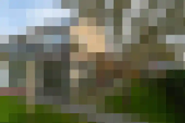 Grimbeert 8 Kollum thumbnail 40