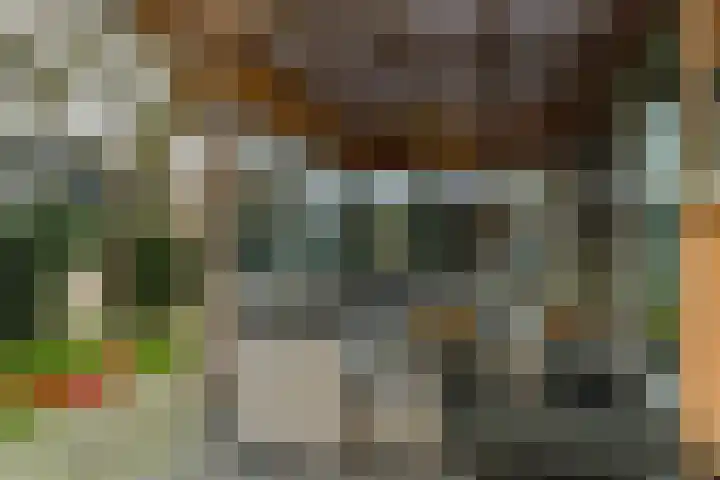 Grimbeert 8 Kollum thumbnail 41