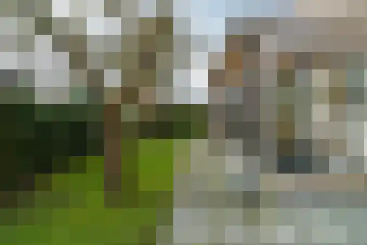Grimbeert 8 Kollum thumbnail 43